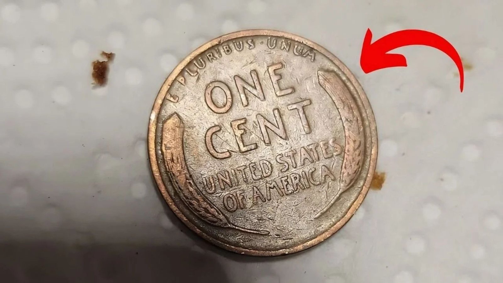 $5 Million Penny Hunt