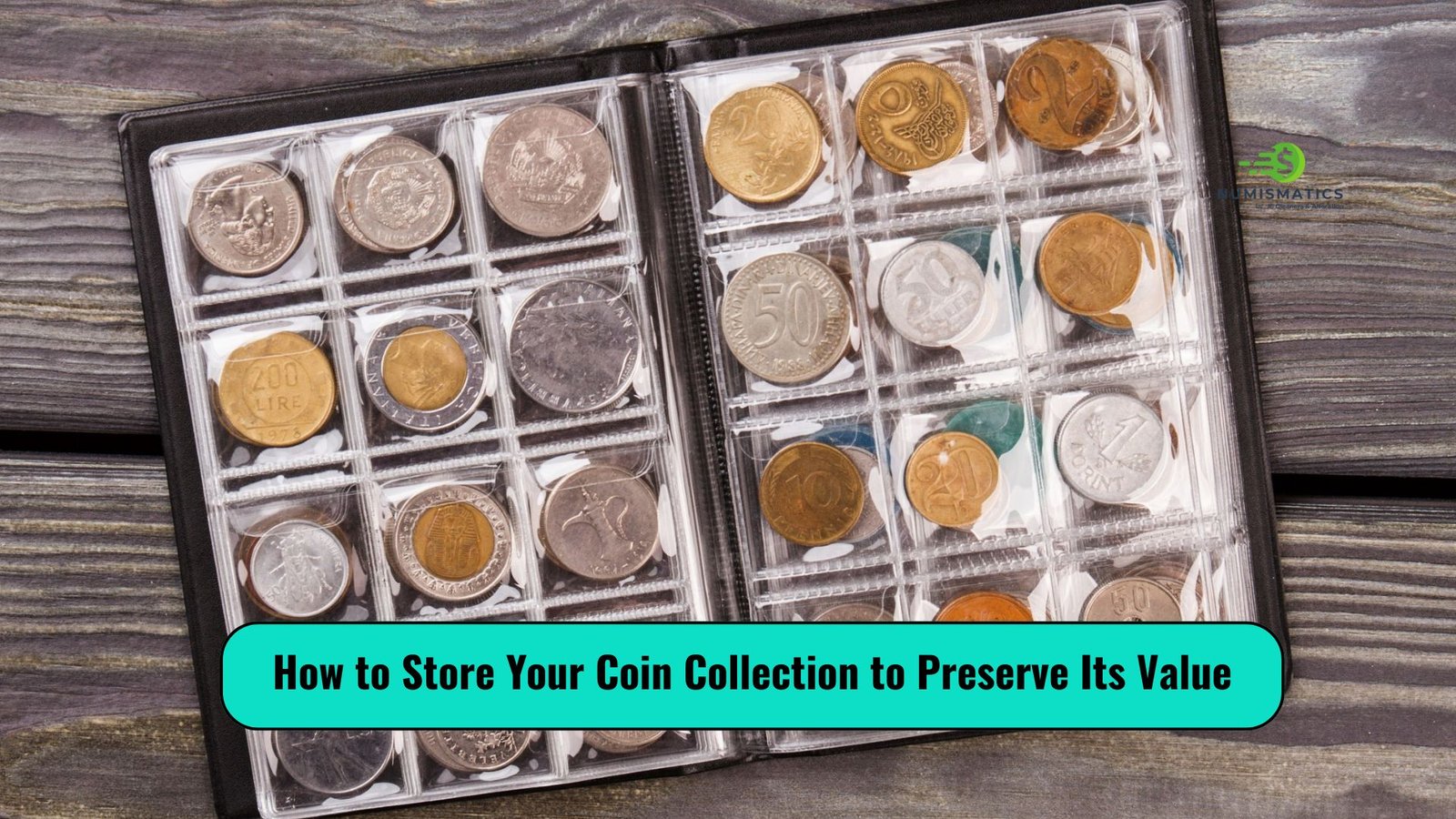 How to Store Your Coin Collection to Preserve Its Value